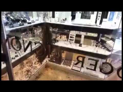 النحل يحتل محل مجوهرات فى مدينة مونبلييه الفرنسية