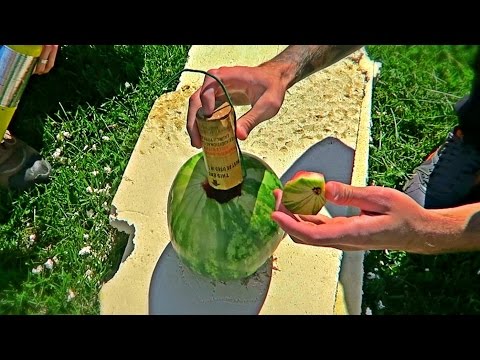 بالفيديو تفجير بطيخة بقذيفة هاون