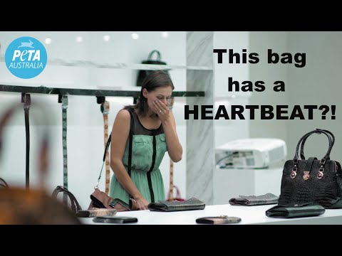 بالفيديو جثة حيوان لا ذنب له