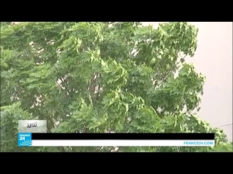 بالفيديو الشاعر طاهر جاووت متمرد اغتاله الإرهاب