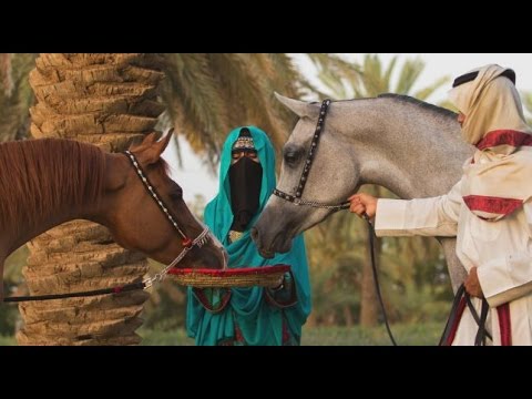 شاهد انطلاق معرض حول جماليات الخيل وتفاصيله