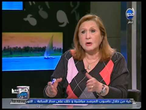 الرئيس السيسي يبحث التعاون في الطاقة المتجددة