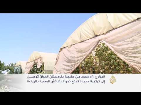 شاهد تركيبة تمنع نمو الحشائش المضرة بالزراعة