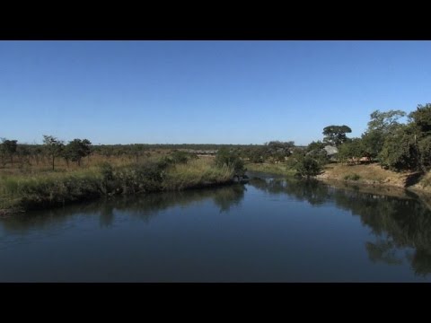 بالفيديو أنغولا تعلن الحرب على الصيد غير الشرعي