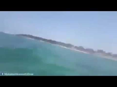 بالفيديو شاهد لحظة  العثور على سمكة قرش قاتلة في شاطئ المندرة