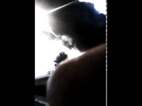 خنزير بري يهاجم مطعم ويصيب رواده بالفزع