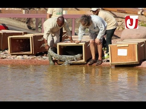 شاهد افتتاح مختبر علمي الأول من نوعه في حديقة التماسيح في أغادير