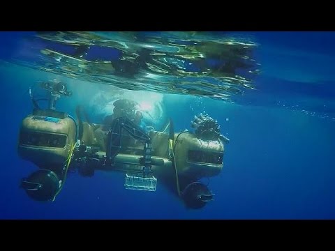 شاهد بعثة لاستكشاف صحة المحيطات في منطقة برومودا