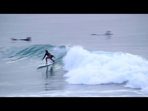 شاهد أستراليا تخشى الهجمات المتزايدة لأسماك القرش