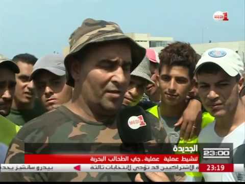 بالفيديو جني الطحالب البحرية وإشكاليات التقنين في الجديدة