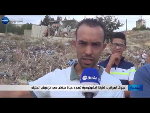  بالفيديو  كارثة إيكولوجية تهدد حياة سكان حي مزغيش العتيق