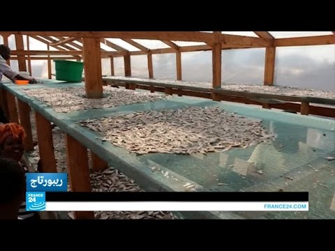 شاهد الخيام الشمسية ابتكار جديد ومفيد