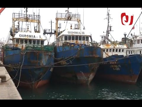 بالفيديو بداية الراحة البيولوجية لصيد الأخطبوط في المغرب 