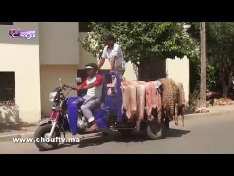 شاهد تقاليد و أجواء عيد الأضحى