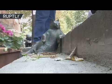 تمثال لأشهر قط تركي في إسطنبول