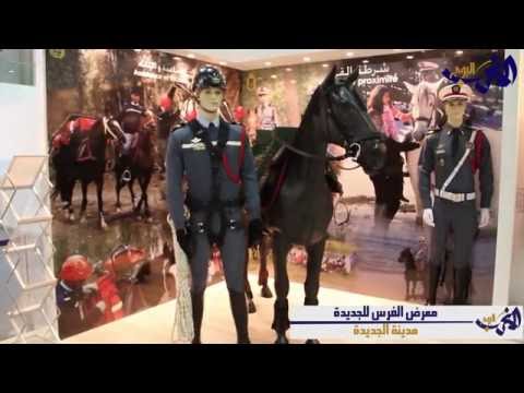 بالفيديو  افتتاح معرض الفرس في الجديدة في دورته التاسعة