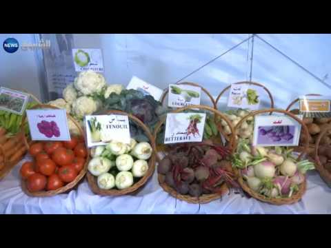 شاهد شح الأمطار يخيم على الموسم الزراعي