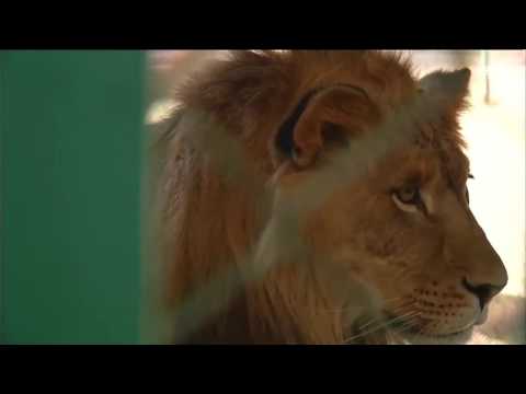 شاهد محمية طبيعية في الأردن