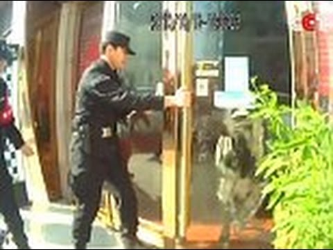 شاهد ثور هائج يثير رعب الزبائن في محل