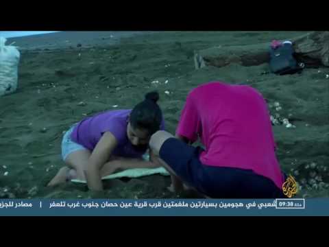 شاهد مبادرة لإنقاذ السلاحف في كوستاريكا