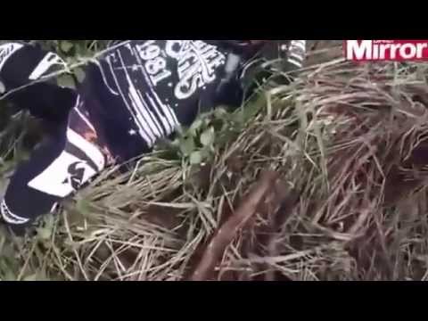 سائق دراجة نارية يسقط فوق جحر ثعابين سامة