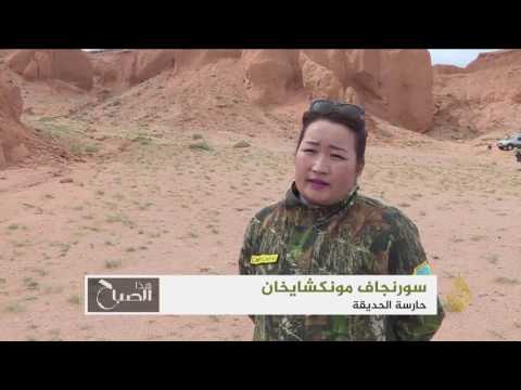 شاهد إطلاق متحف للديناصورات في منغوليا