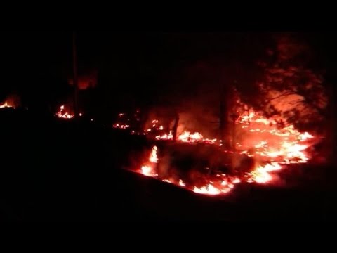 حرائق تأتي على 90 ألف هكتار من الغابات