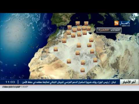 شاهد أجواء مشمسة واستقرار مستمر في الجزائر