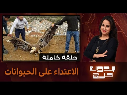 بالفيديو  تزايد ظاهرة الاعتداء على الحيوانات في المغرب