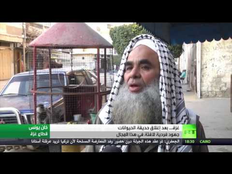 بالفيديو جهود فردية للعناية بالحيوانات في غزة