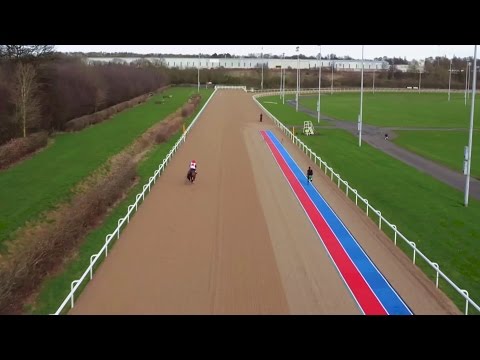 شاهد عدّاء يتفوق على حصان في سباق 100 متر