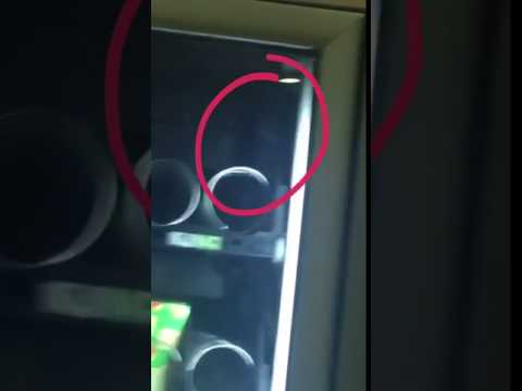 العثور على فأر داخل ماكينة بيع الطعام في جامعة بالسعودية