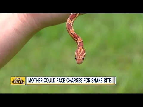  شاهد رضيعة تتعرض للدغة ثعبان خاص بوالدتها