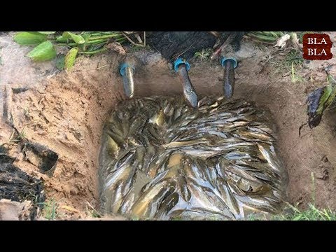 شاهد5 طرق بارعة لصيد الأسماك بسهولة