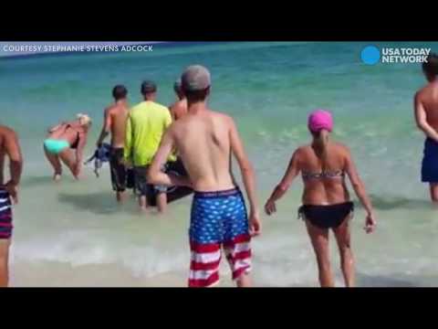 شاهد لحظة ظهور أسماك قرش على أحد الشواطئ الأميركية