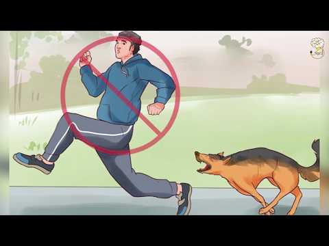 تعرف على طرق التعامل مع الكلاب المفترسة