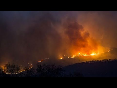 شاهد النيران تلتهم 253 هكتارًا في غابة مديونة