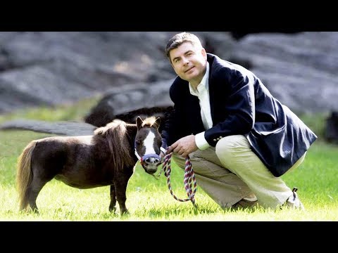 أصغر 10 حيوانات أليفة في العالم