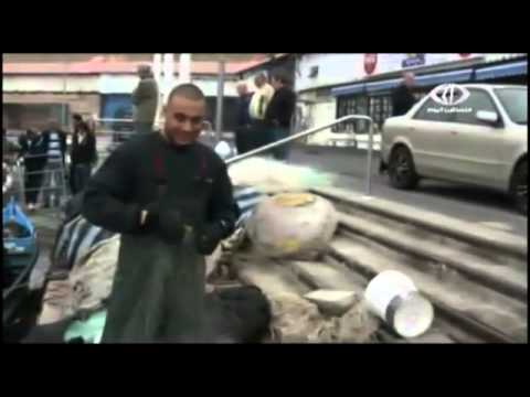 الاحتلال يقتحم ميناء يافا ويصادر أموال الصيادين