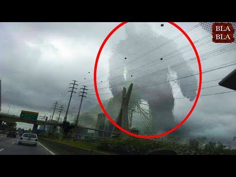 شاهد 7 وحوش غابة صورتها الكاميرا