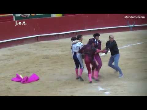 بالفيديو ثور يخدع مصارعًا بحرفية