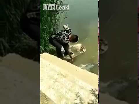 شاهد رحلة صيد لصياد طماع تنتهي بمفاجأة مذهلة