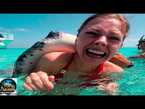 شاهد أخطر 7 مخلوقات تعيش في قاع المحيطات