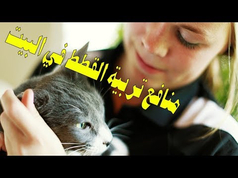 شاهد 6 فوائد ستحصل عليها عندما تربي قطة في البيت