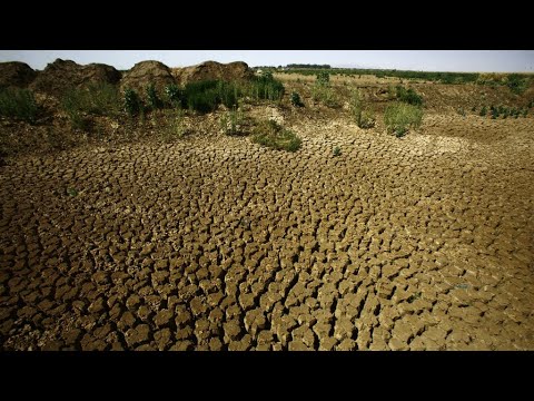 البشرية تستنفذ نصيبها من موارد الأرض الطبيعية لهذا العام