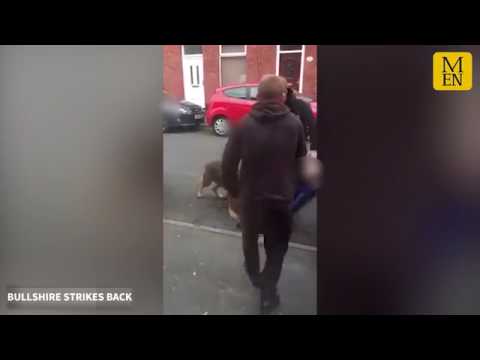 شاهد لص يعض كلبًا للهرب من الشرطة