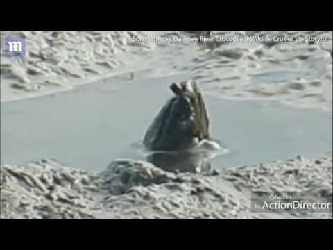 شاهد العثور على مخلوق غامض في بحيرة طينية