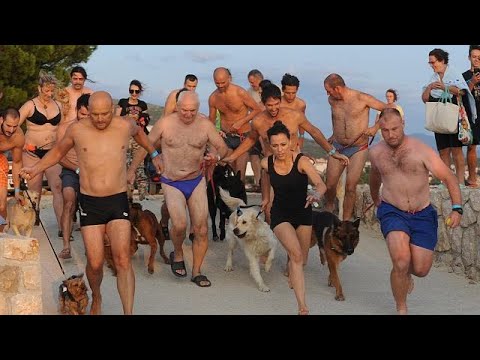 شاهد انطلاق رالي السباحة بمعية الكلاب في كرواتيا