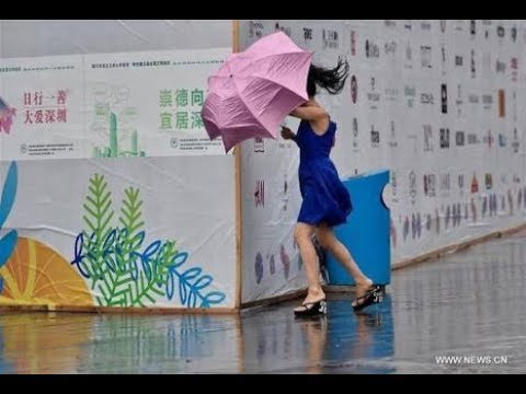 مشاهد من إعصار هاتو المدمّر جنوب الصين