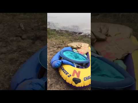 شاهد رد فعل طريف من ثعبان صغير يسمع الموسيقى